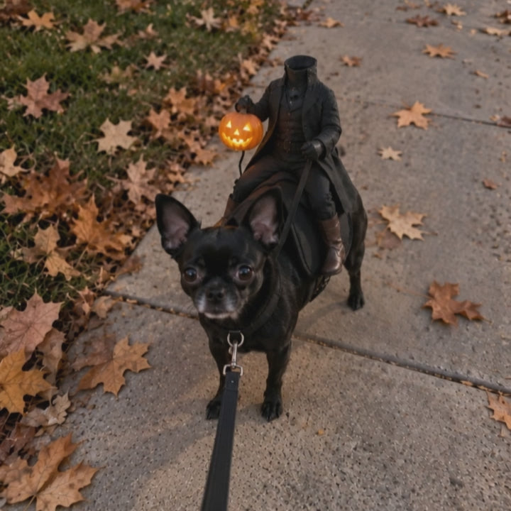 Headless Horseman Pet Costume - Halloween Dog & Cat Illusion Outfit